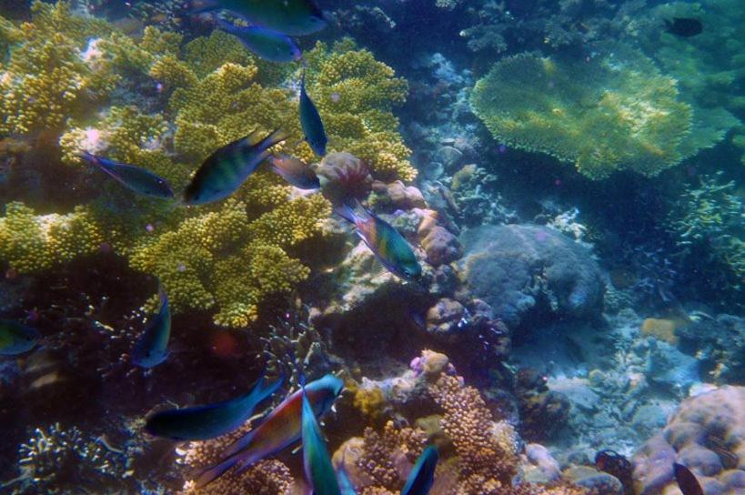 Balaibinda Lodge Busuanga Eksteriør billede